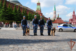 Генерал-полковник Иван Шмелев поздравил кинологов Росгвардии с профессиональным праздником