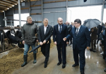 В Самарской области будут усиливать молочное животноводство