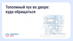 Что делать, если двор заполонил тополиный пух