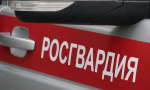 В Тольятти сотрудники Росгвардии предотвратили кражу из гипермаркета