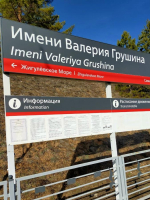 Пригородные поезда не будут делать остановку на платформе им. В. Грушина