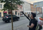В Самаре обрабатывают липы от паутинного клеща