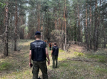 Возбуждено уголовное дело по факту нападения собак на жительницу города Самары