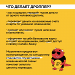 2_2.jpg