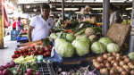 В Самаре с 4 сентября начнёт работу вторая осенняя сельскохозяйственная ярмарка