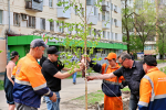 Самара 440. В городе реализуются проекты, направленные на сохранение окружающей среды