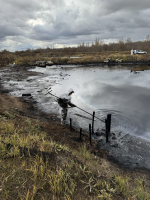 Самара 440. В городе реализуются проекты, направленные на сохранение окружающей среды