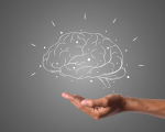 IQ ПФО: студенты Университета «МИР» — призёры интеллектуальной олимпиады