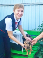 Собака-путешественница в одиночку добралась из Кинеля до Тольятти на электричках