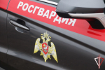 В Самарской области росгвардейцы задержали подозреваемого в краже